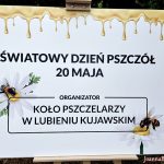 Miodobranie miodu wiosennego pszczelarzy z Lubienia Kujawskiego